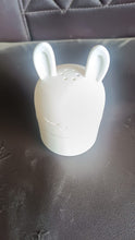Adorable Bunny Multipurpose Kitchen Storage Box (1 pc)